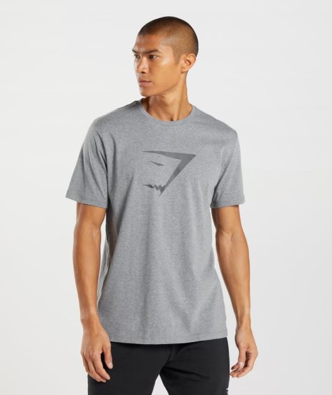 Men's Gymshark Sharkhead Infill T-Shirts Grey | CA 157NA8